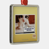 Ich jage schlechtes fing awai silbernes ornament (Rechts)