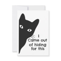 Ich kam aus meinem Versteck für diese Schwarze-Kat