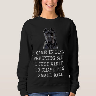 Ich kam herein wie ein wackeliger Ball Funny Dog V Sweatshirt