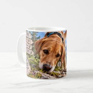 Ich kam, ich sah, ich schnüffelte Tasse