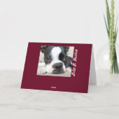 Ich kann alles mit Küssen kurieren! ERHALTEN SIE Karte (Rückseite)