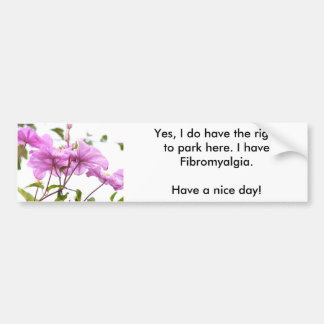 ICH KANN Autoaufkleber hier parken