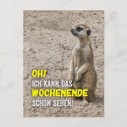 Ich kann das Wochenende schon sehen - Erdmännchen Postkarte (Vorderseite)