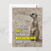 Ich kann das Wochenende schon sehen - Erdmännchen Postkarte (Vorne/Hinten)