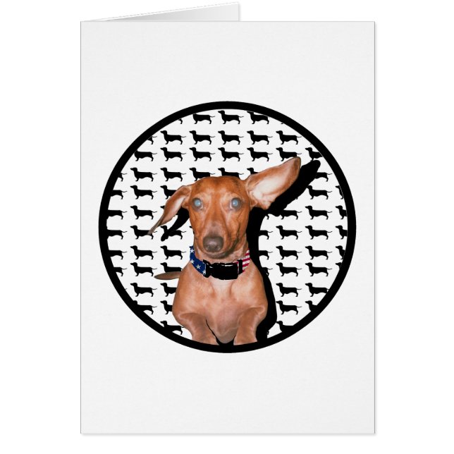 Ich kann dich hören (Vorne)