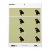 Ich kann dich sehen (Vorne)