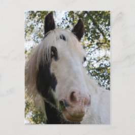 Ich kann dich sehen postkarte