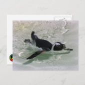 Ich kann es nicht ertragen, einen Pinguin zu sehen Postkarte (Vorne/Hinten)