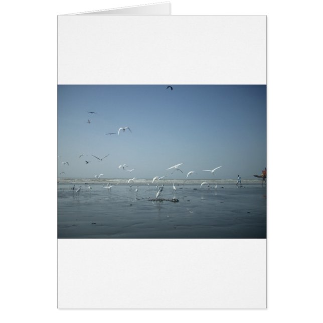 Ich kann fliegen (Vorne)