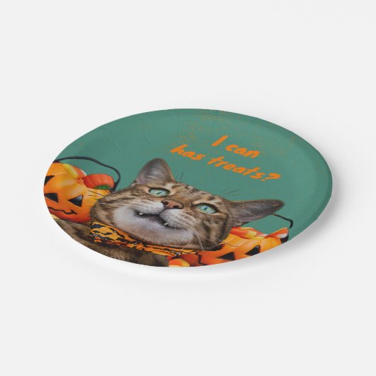 Ich kann Leckereien auf Papier Teller haben (Schrägansicht)