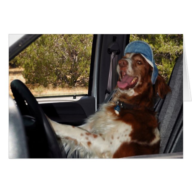 ICH KANN NICHT 55 FAHREN! -Gestalted (Vorderseite (Horizontal))