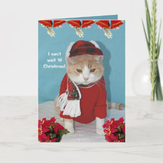 Ich kann nicht 'bis Weihnachten warten!