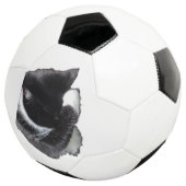 Ich kann nicht einmal jetzt fußball (Dreiviertel)