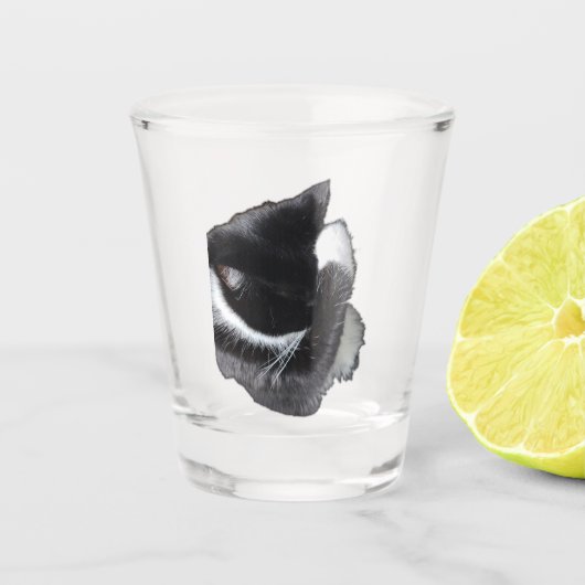 Ich kann nicht einmal jetzt schnapsglas (Vorderseite)