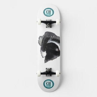 Ich kann nicht einmal jetzt skateboard