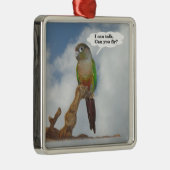 Ich kann reden, kannst du fliegen? silbernes ornament (Rechts)