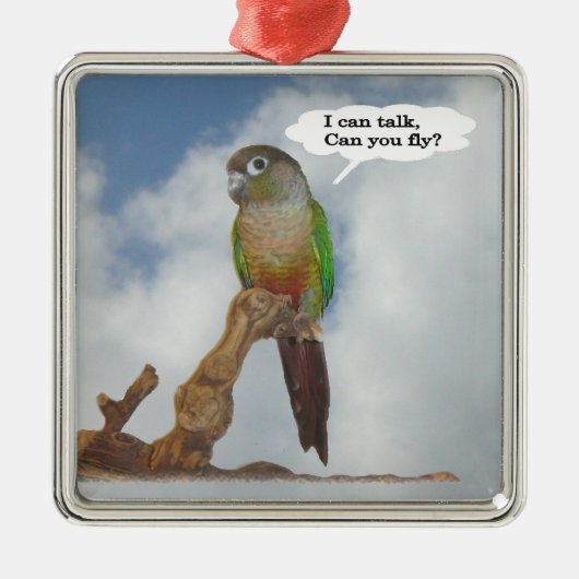 Ich kann reden, kannst du fliegen? silbernes ornament (Vorne)