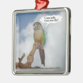 Ich kann reden, kannst du fliegen? silbernes ornament (Links)