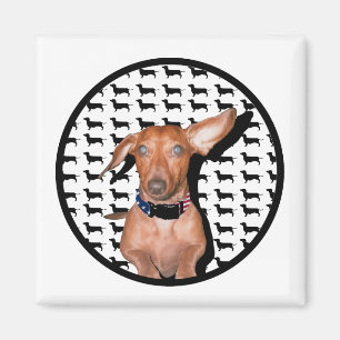 Ich kann Sie hören Magnet