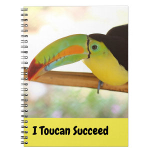Ich kann Toucan Erfolg haben Notizblock
