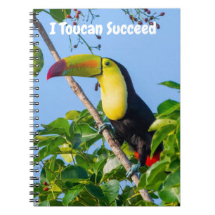 Ich kann Toucan Erfolg haben Notizblock