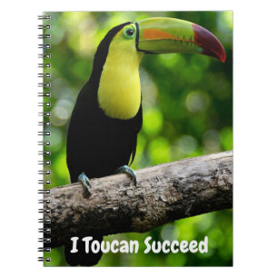Ich kann Toucan Erfolg haben Notizblock