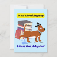 Ich kann überhaupt nicht lesen
