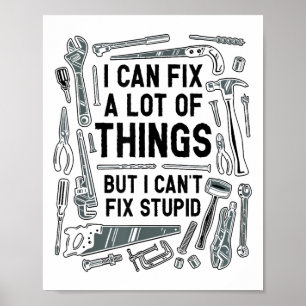 Ich kann viele Dinge reparieren, aber ich kann kei Poster