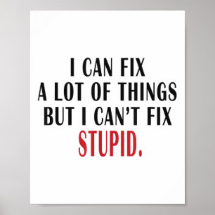 Ich kann viele Dinge reparieren, aber ich kann sie Poster