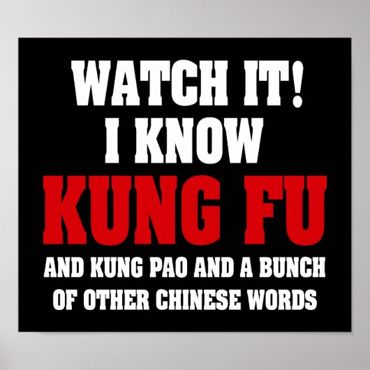 Ich kenne Kung Fu und Kung Pao - Funny Martial Art Poster (Vorne)
