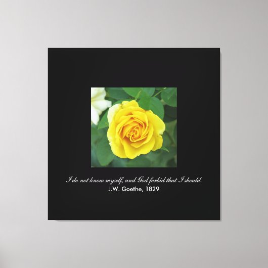 Ich kenne mich nicht. . . (Goethe) Leinwanddruck (Vorderseite)