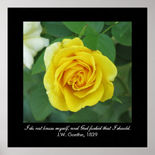 Ich kenne mich nicht. . . (Goethe) Poster