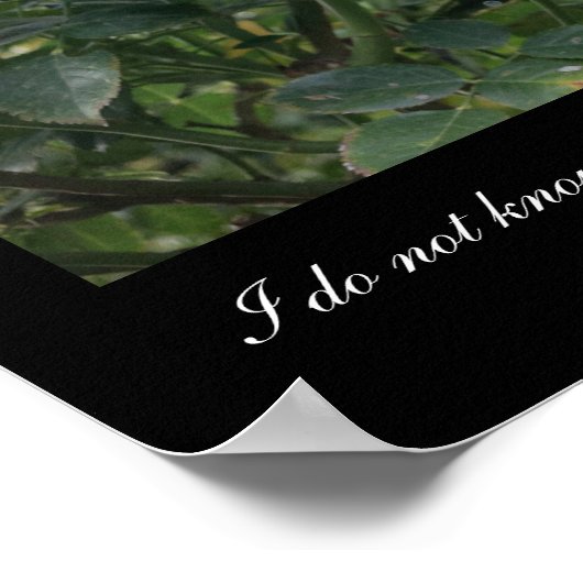 Ich kenne mich nicht, und... (J.W. Goethe-Zitat) Poster (Ecke)