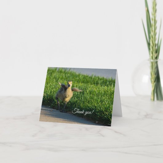 Ich komme Daddy, danke (Vorderseite)