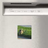 Ich komme Daddy Magnet (In Situ (Geschirrspüler))