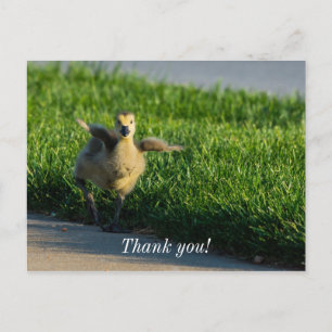 Ich komme Papa Danke Postcard Postkarte