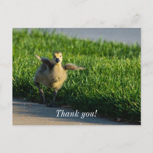 Ich komme Papa Danke Postcard Postkarte (Vorderseite)