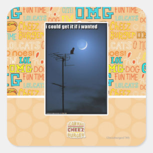 Ich könnte es bekommen, wenn ich es gewollt hätte quadratischer aufkleber