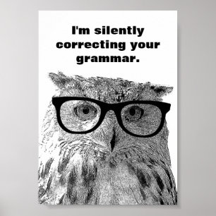Ich korrigiere stillschweigend dein Grammatik-Eule Poster