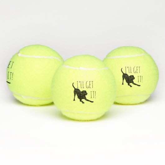 "Ich kriege es!" Tennisbälle für Hunde (Multi)