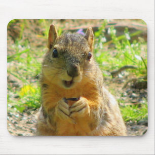 Ich lächele für Samen u. Verkäufe Mousepad