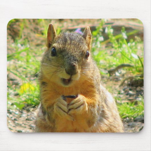 Ich lächele für Samen u. Verkäufe Mousepad (Vorne)