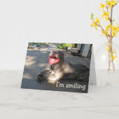 Ich lächle Pitbull-Jubiläumskarte Karte (Gelbe Blume)