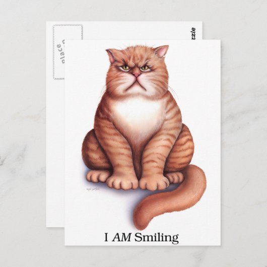 Ich lächle. postkarte (Vorne/Hinten)