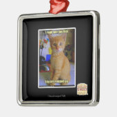 Ich las Ihre Zeitschrift Silbernes Ornament (Links)