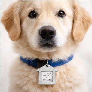 Ich lebe immer noch mit dem Hund der Katze meiner Tiermarke