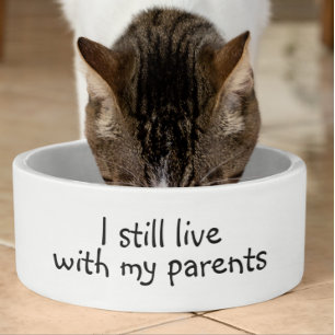 Ich lebe immer noch mit dem Hund meiner Eltern Lus Napf