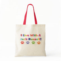 Ich lebe mit einem Jack Russell