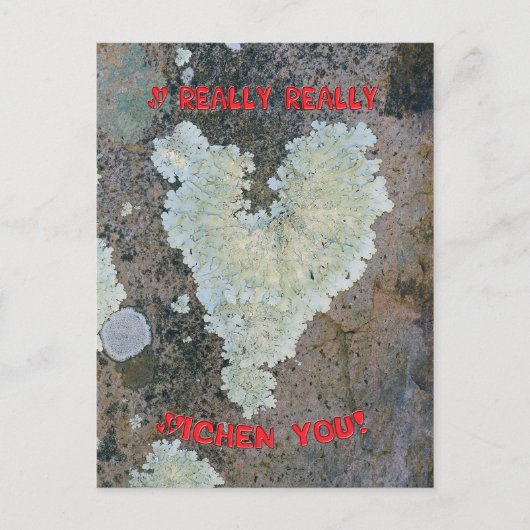 Ich Lichen Sie wirklich. Postkarte (Vorderseite)