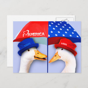 Ich Liebe Amerika. Funny Patriotic Ducks Postkarte